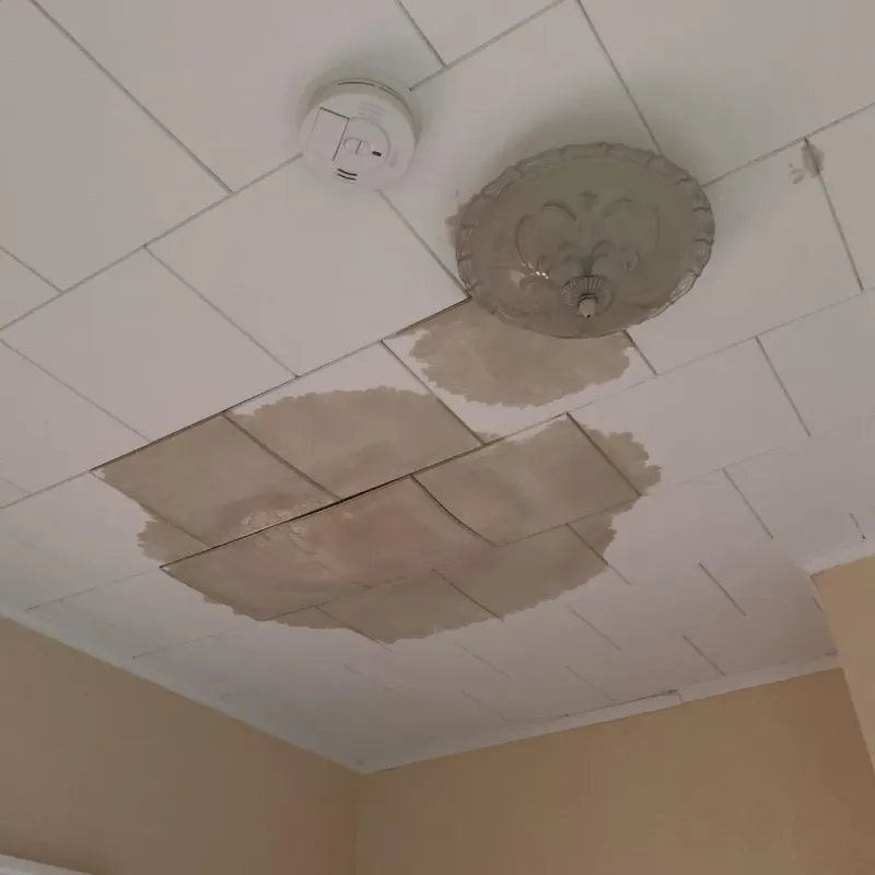 Ceiling Water Damage Repair in Red Oaks Mill, NY